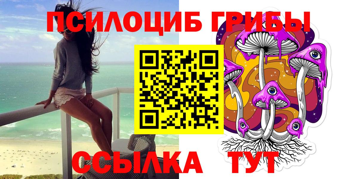 Псилоцибиновые грибы MAGIC MUSHROOMS  Псилоцибиновые грибы MAGIC MUSHROOMS  Вход с VPN  Егорьевск 